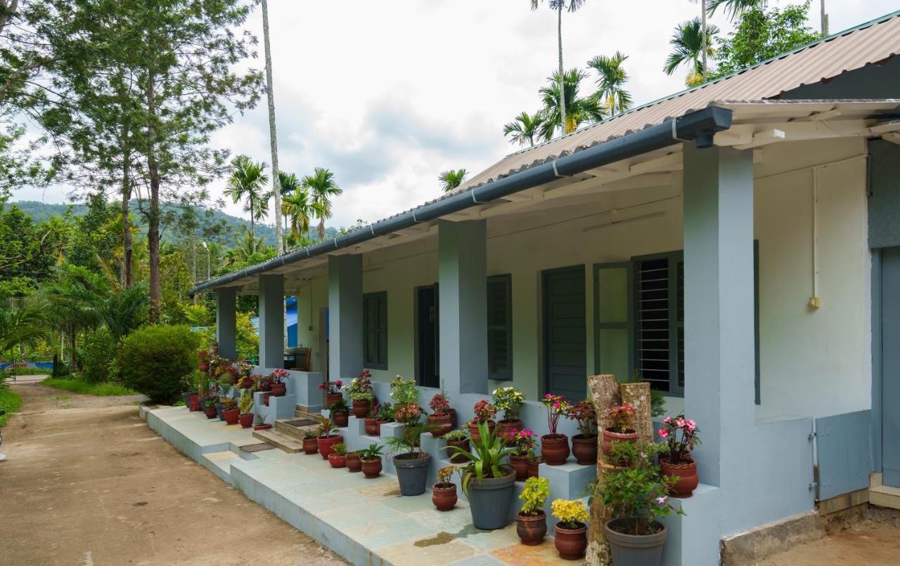 Mystic Trees, Kumily Apartment Thekkady Ngoại thất bức ảnh