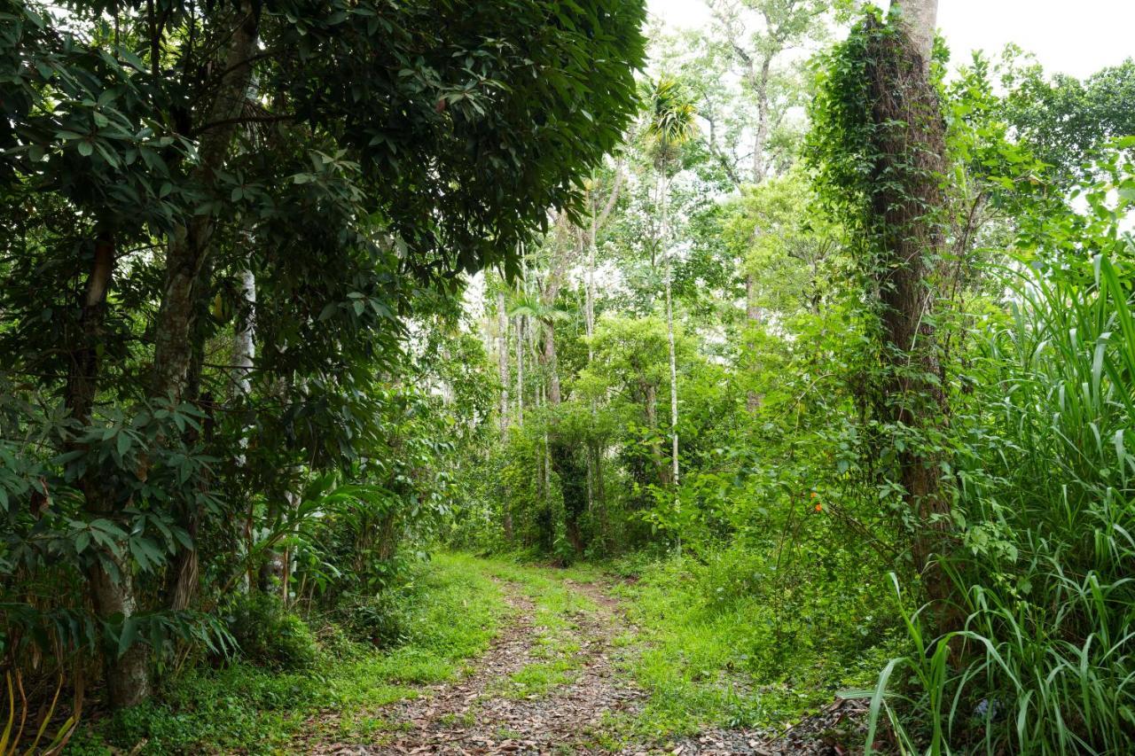 Mystic Trees, Kumily Apartment Thekkady Ngoại thất bức ảnh